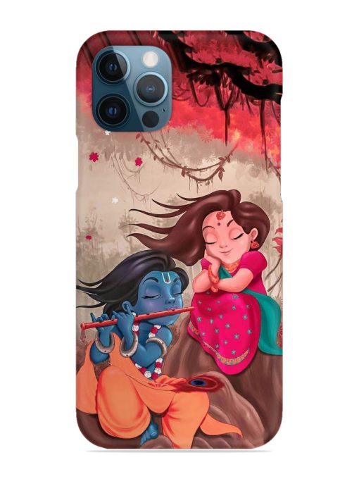 Radhe Krishna Water Art Snap Case for Apple Iphone 12 Pro Edge Zapvi